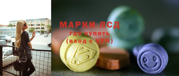 стаф Богородск