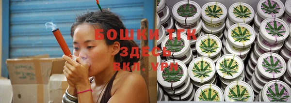 стаф Богородск